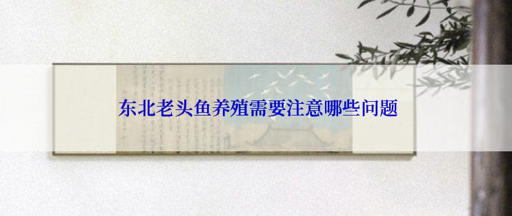  东北老头鱼养殖需要注意哪些问题