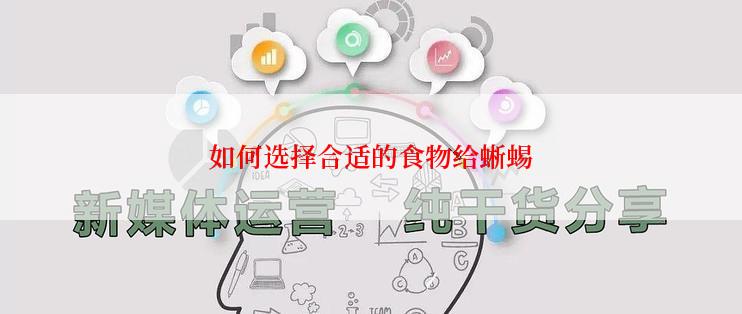 如何选择合适的食物给蜥蜴