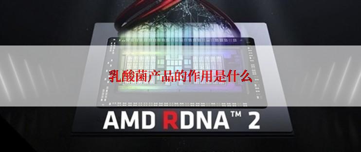 乳酸菌产品的作用是什么