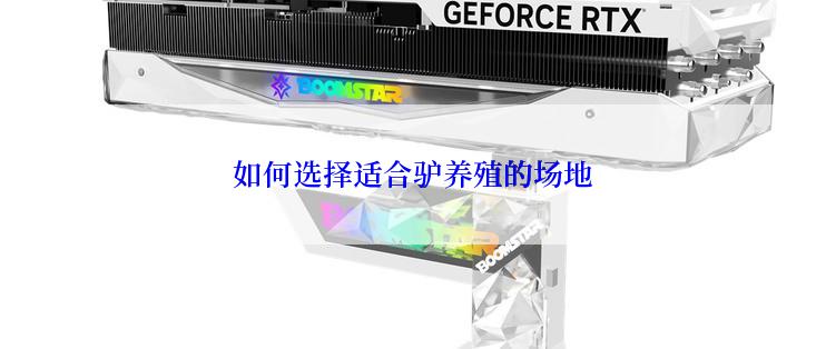 如何选择适合驴养殖的场地
