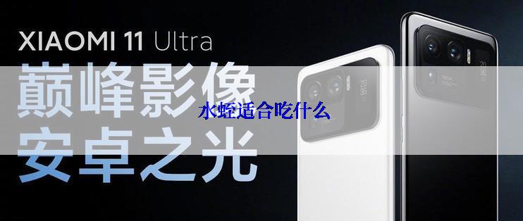  水蛭适合吃什么