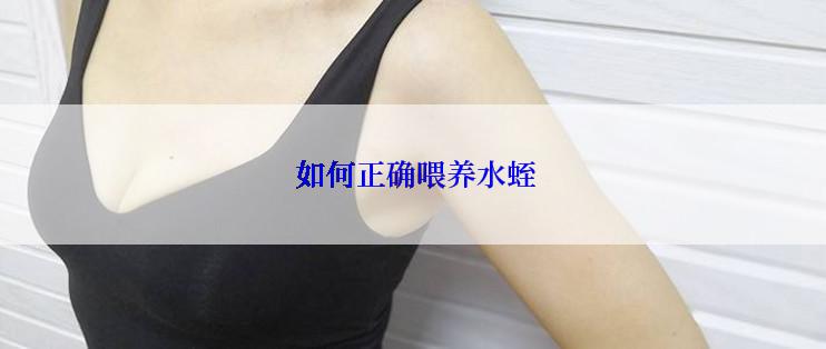  如何正确喂养水蛭