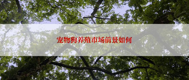 宠物狗养殖市场前景如何