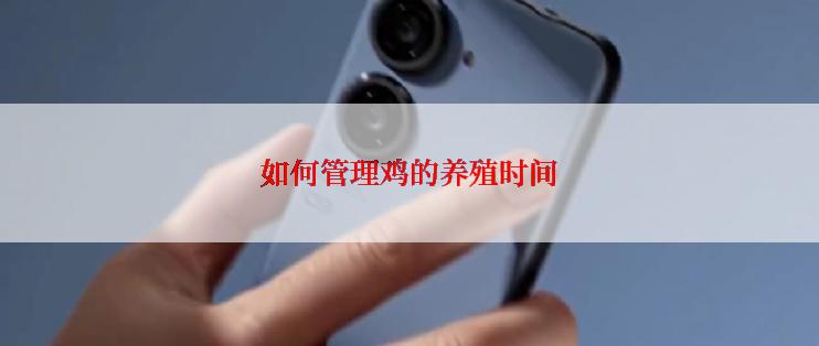 如何管理鸡的养殖时间
