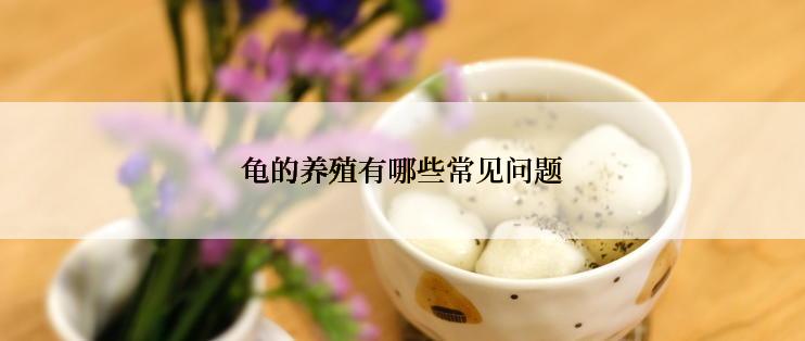 龟的养殖有哪些常见问题