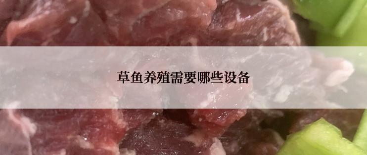 草鱼养殖需要哪些设备
