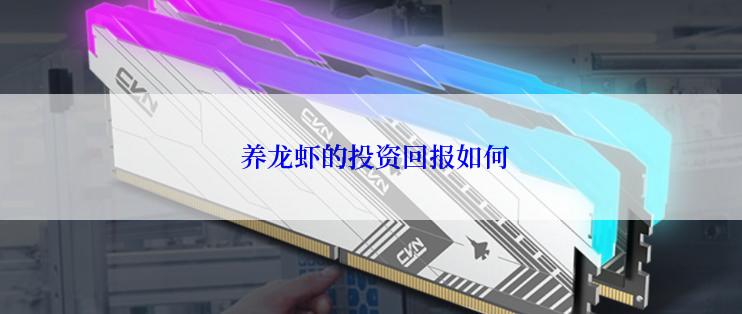  养龙虾的投资回报如何