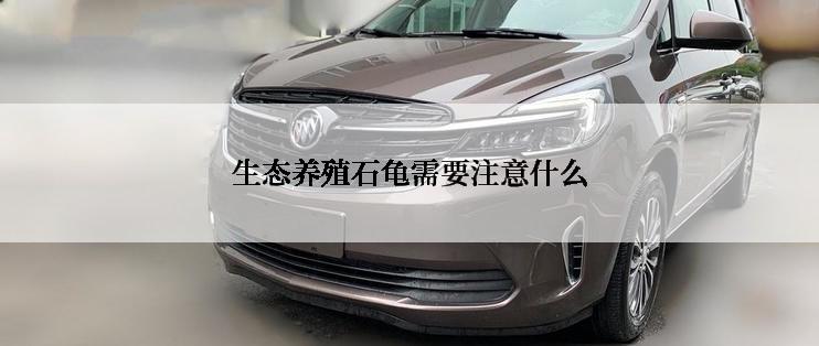 生态养殖石龟需要注意什么