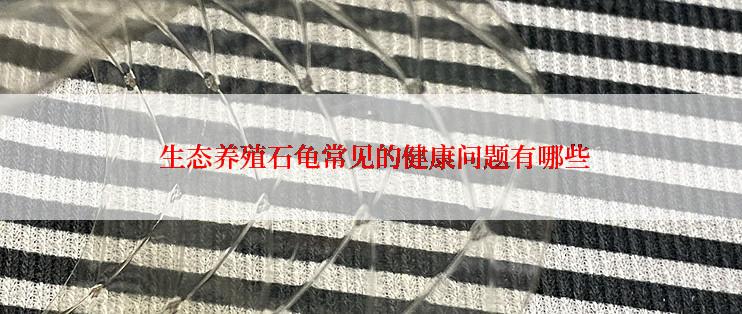 生态养殖石龟常见的健康问题有哪些