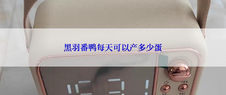 黑羽番鸭每天可以产多少蛋