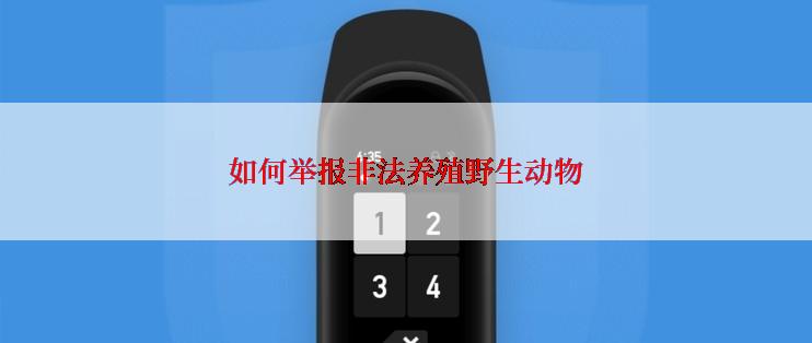 如何举报非法养殖野生动物