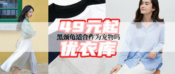  黑颈龟适合作为宠物吗