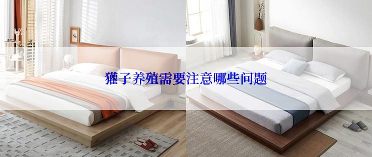 獾子养殖需要注意哪些问题