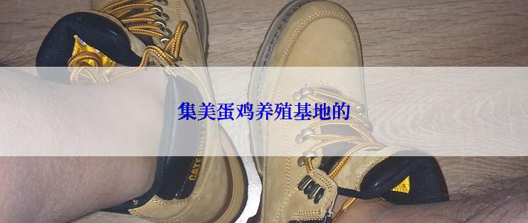 集美蛋鸡养殖基地的