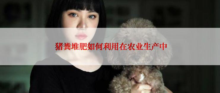  猪粪堆肥如何利用在农业生产中