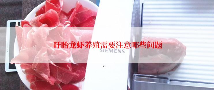  盱眙龙虾养殖需要注意哪些问题