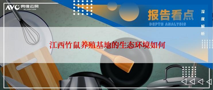  江西竹鼠养殖基地的生态环境如何