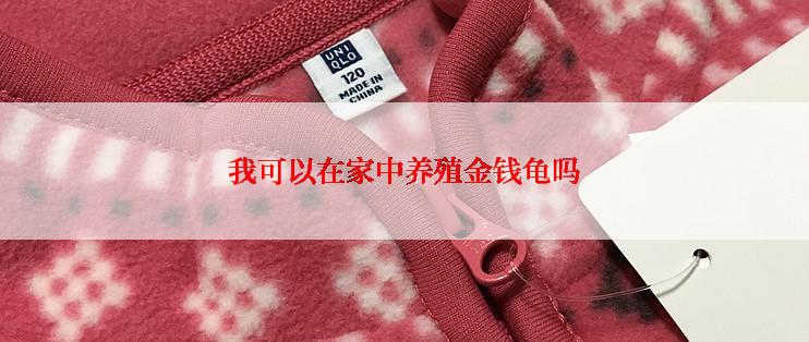 我可以在家中养殖金钱龟吗