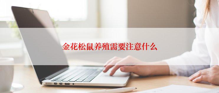 金花松鼠养殖需要注意什么