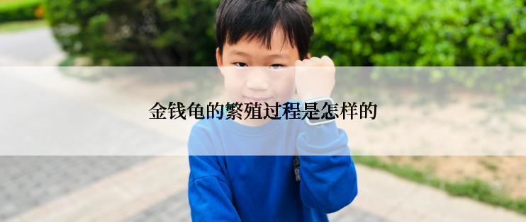 金钱龟的繁殖过程是怎样的