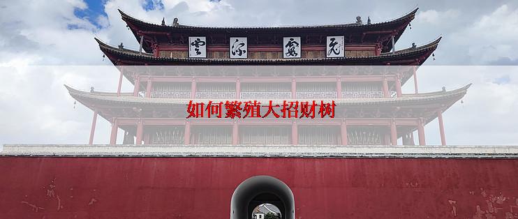  如何繁殖大招财树