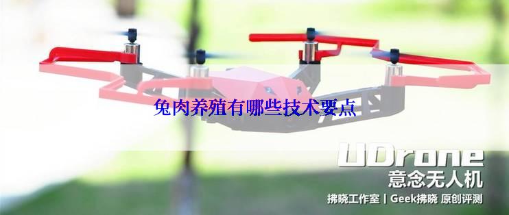 兔肉养殖有哪些技术要点