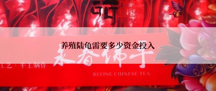 养殖陆龟需要多少资金投入