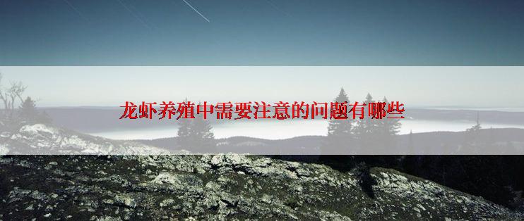 龙虾养殖中需要注意的问题有哪些