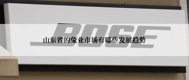 山东省的兔业市场有哪些发展趋势