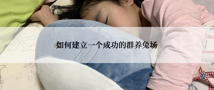 如何建立一个成功的群养兔场
