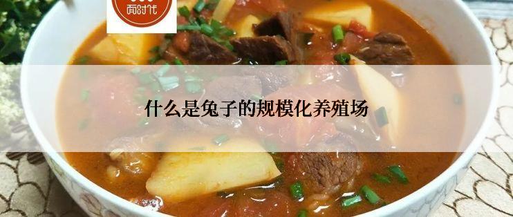 什么是兔子的规模化养殖场