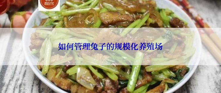 如何管理兔子的规模化养殖场