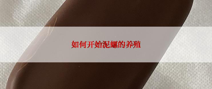 如何开始泥螺的养殖