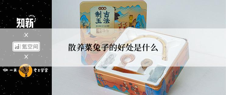散养菜兔子的好处是什么
