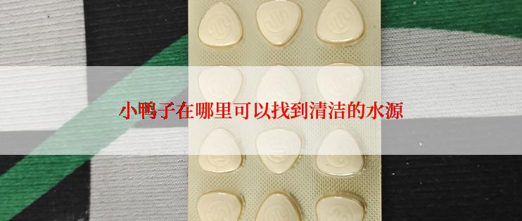 小鸭子在哪里可以找到清洁的水源