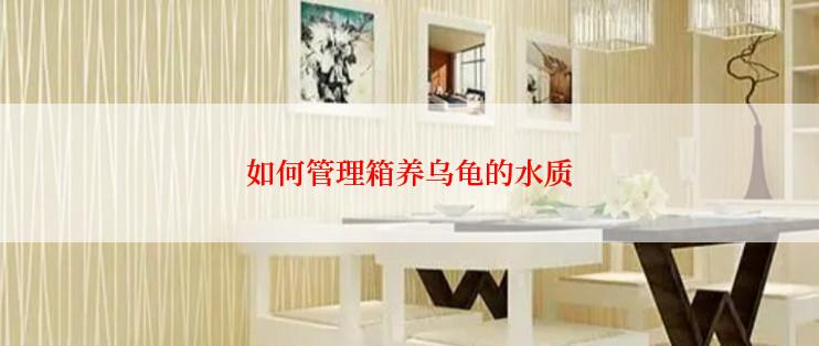 如何管理箱养乌龟的水质