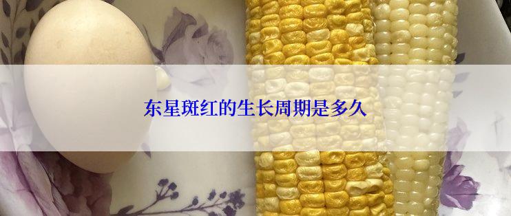 东星斑红的生长周期是多久