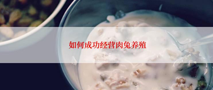  如何成功经营肉兔养殖