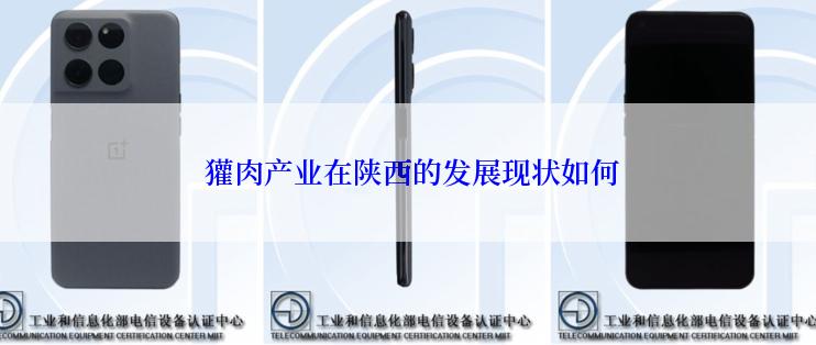  獾肉产业在陕西的发展现状如何