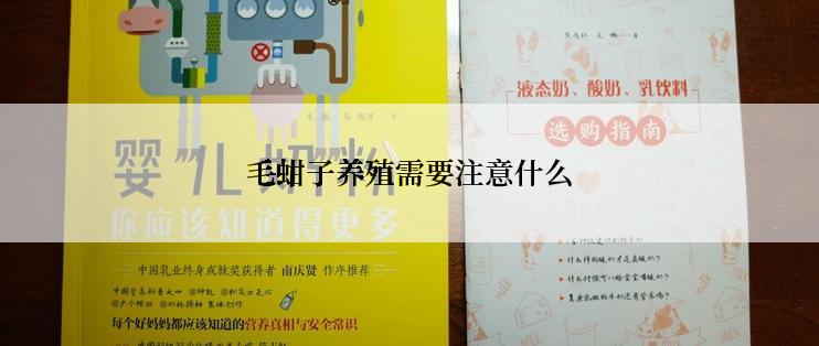 毛蚶子养殖需要注意什么