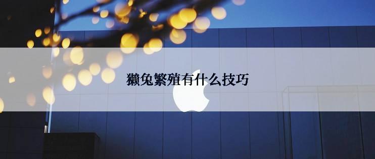 獭兔繁殖有什么技巧