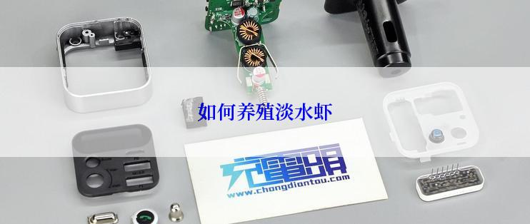 如何养殖淡水虾