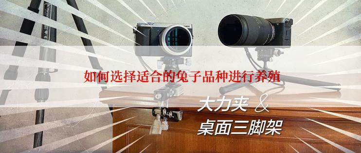  如何选择适合的兔子品种进行养殖