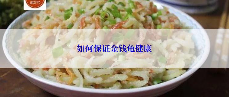 如何保证金钱龟健康