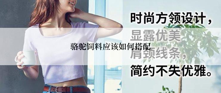 骆驼饲料应该如何搭配
