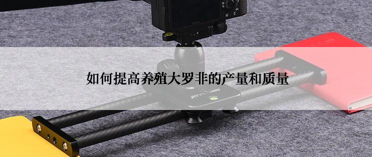  如何提高养殖大罗非的产量和质量