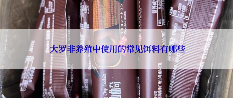  大罗非养殖中使用的常见饵料有哪些