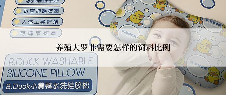 养殖大罗非需要怎样的饲料比例