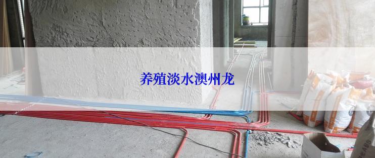 养殖淡水澳州龙