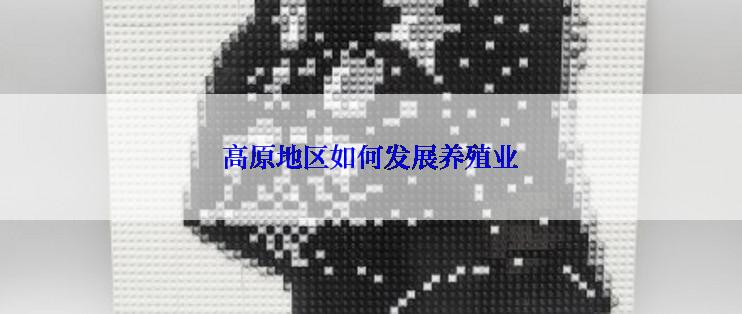 高原地区如何发展养殖业